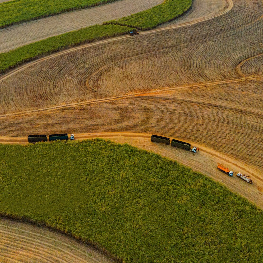 Celebrating Sustainability Impacts In Sugarcane Bonsucro