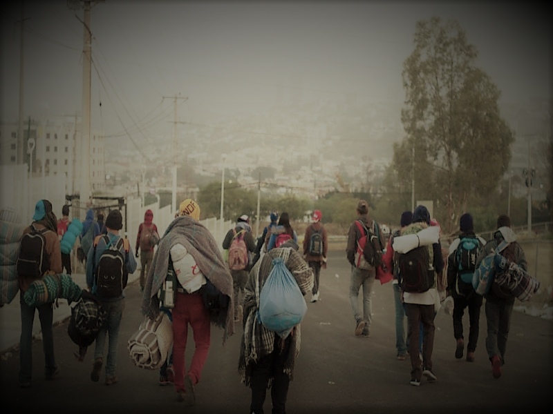 Is Climate Change Driving Immigration