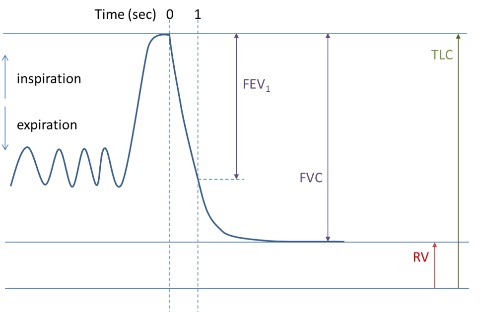 Spirometry Test Results Meaning