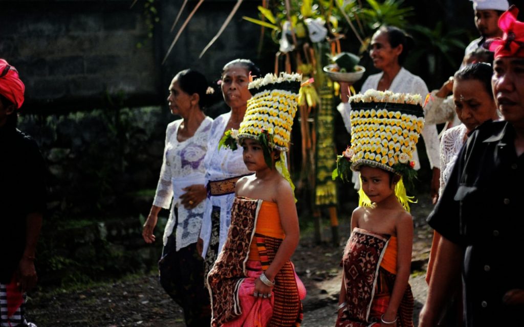 Traditional Uses Pdf Ethnobotany Grazing