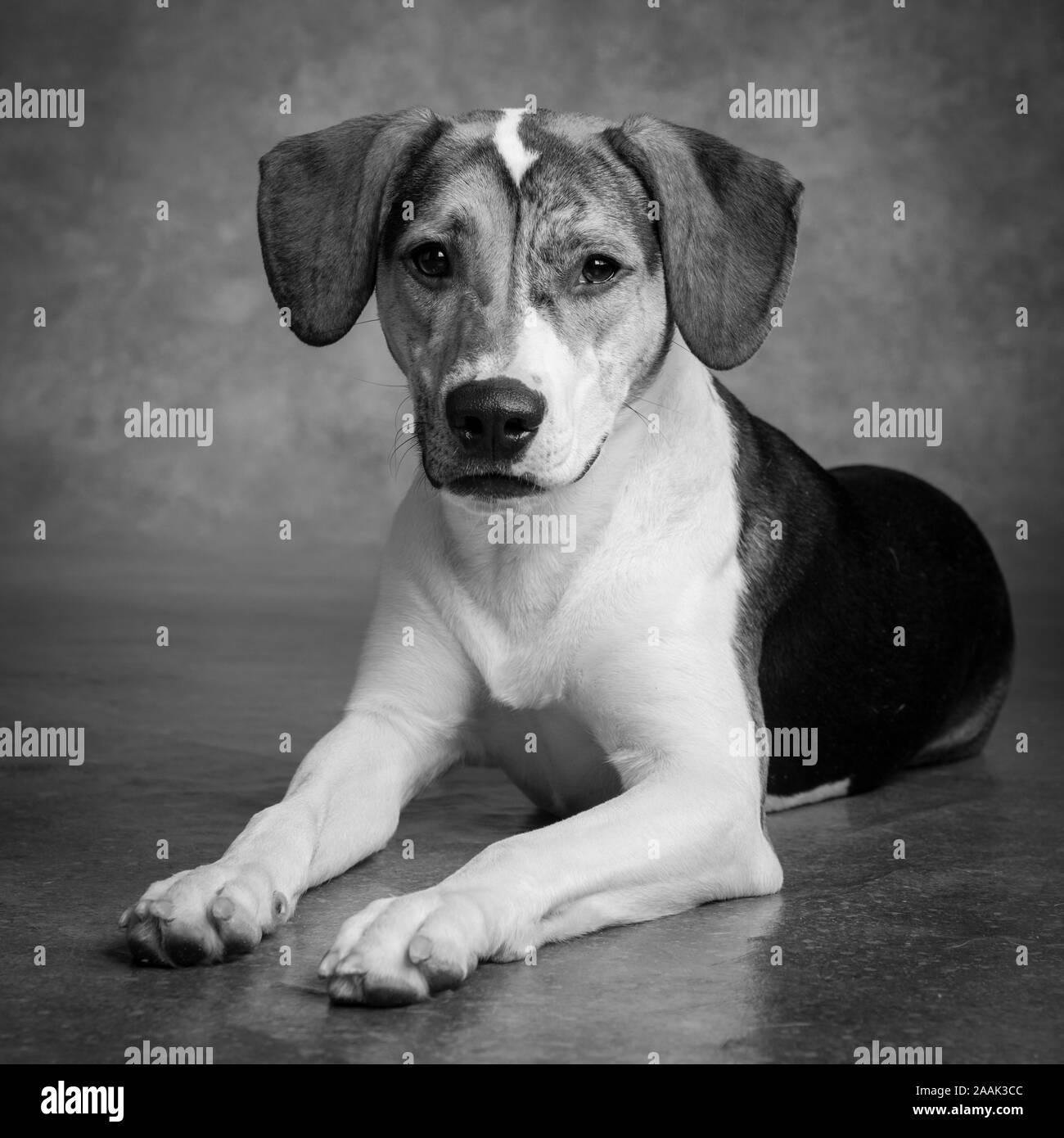 Mixed Signals On Behance