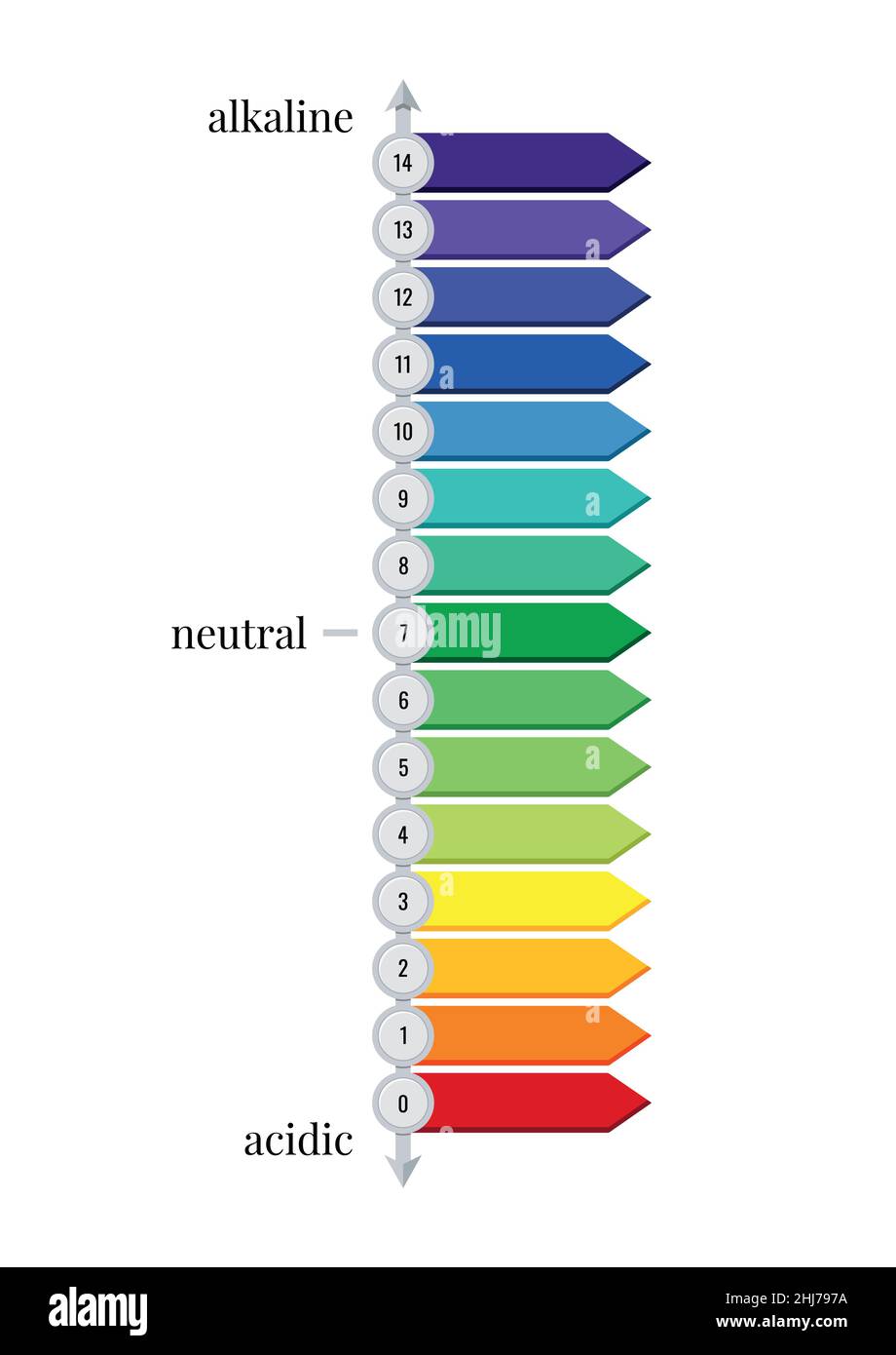 Ph Activity Profiles Of Protease And Activated Proprotease Enzymatic