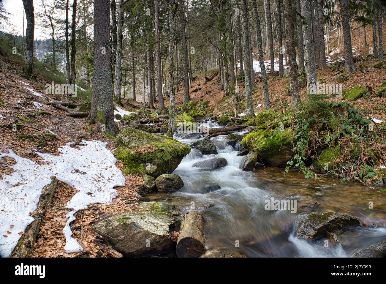 Small Animal Imaging Laboratory Sail Department Of Medicine