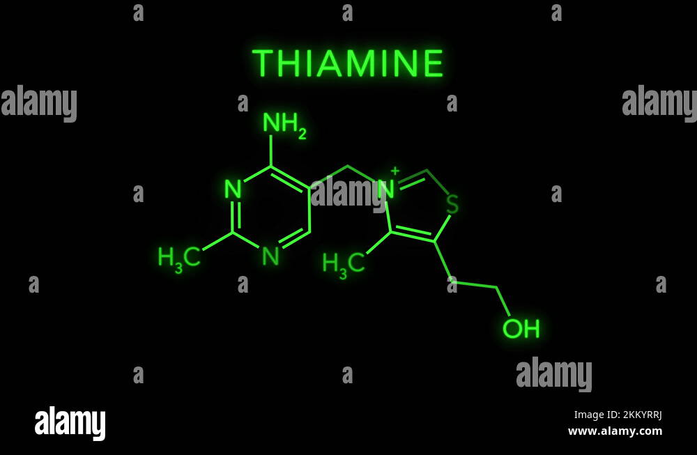 Thiamine And Magnesium Dependent Metabolic Pathways Red Arrows
