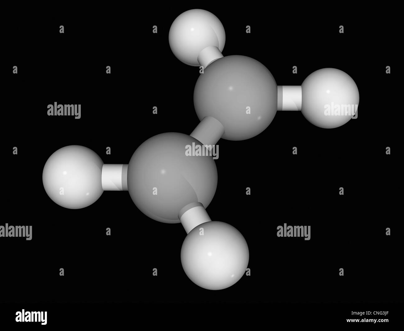 Ethylene Dose Response Of Double Mutants Suggests That Rte1 Acts In The