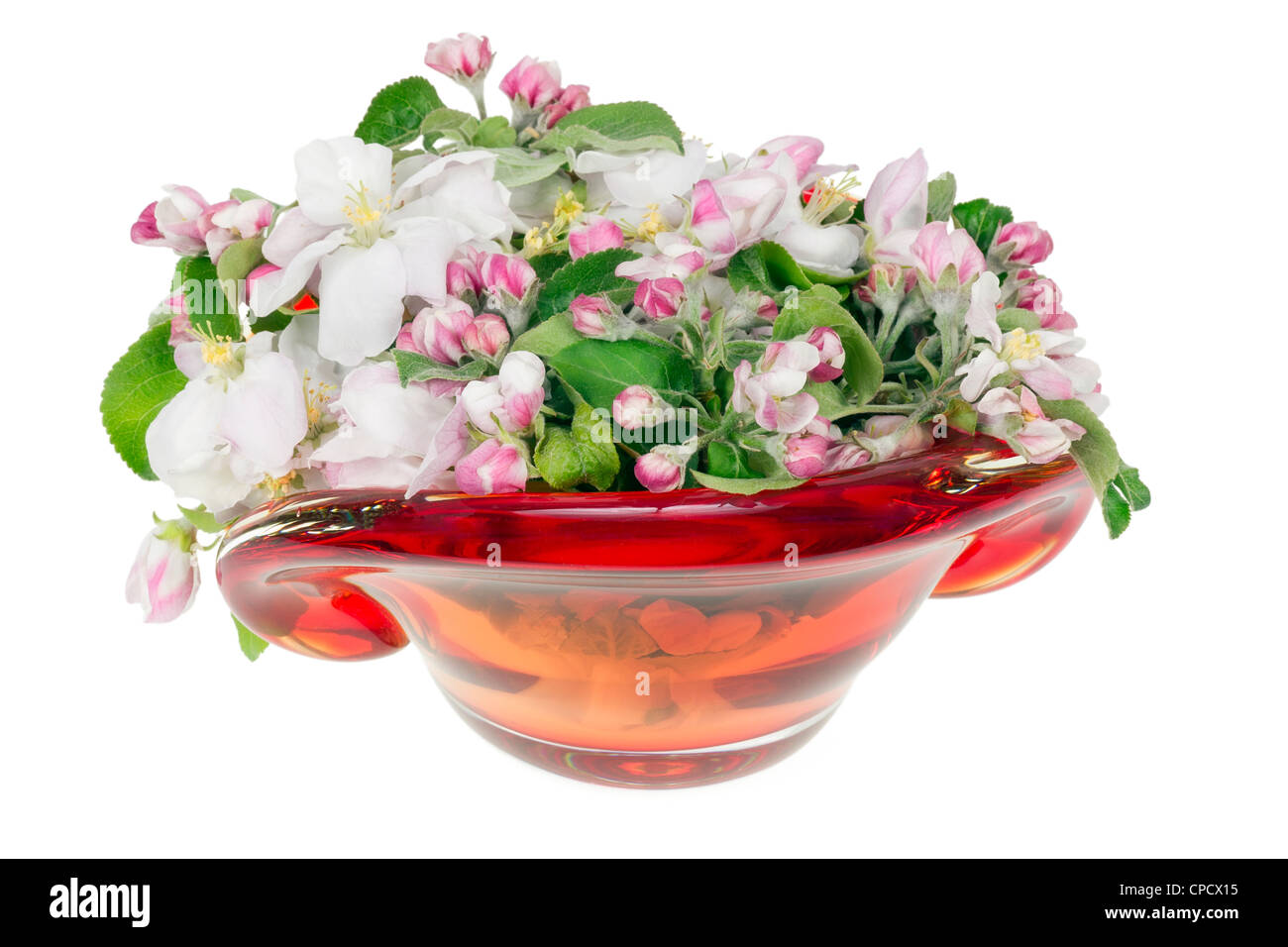 Spring Anime 2023 Tierlist Tier List Community Rankings Tiermaker