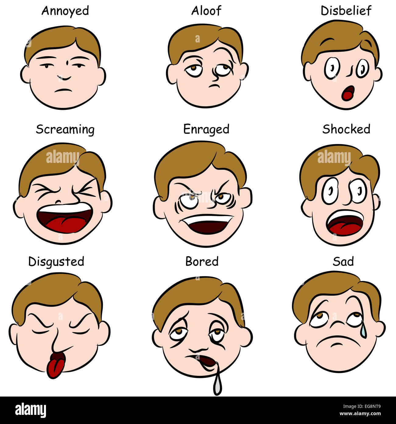 Expression Ofjun B Jun D Und C Jun Proto Oncogenes During P M A I I