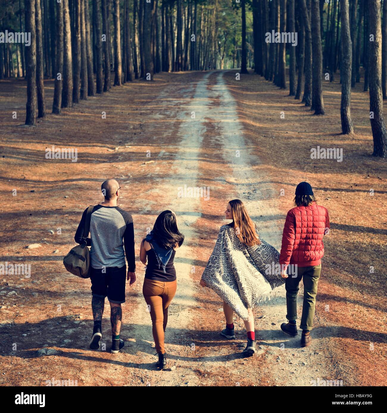 Exploring The Importance And Functions Of The Cytoskeleton In Course Hero