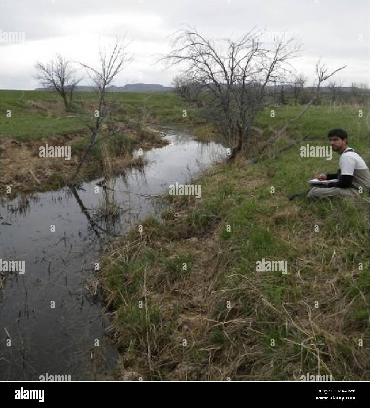 Benthic Macroinvertebrates Hi Res Stock Photography And Images Alamy