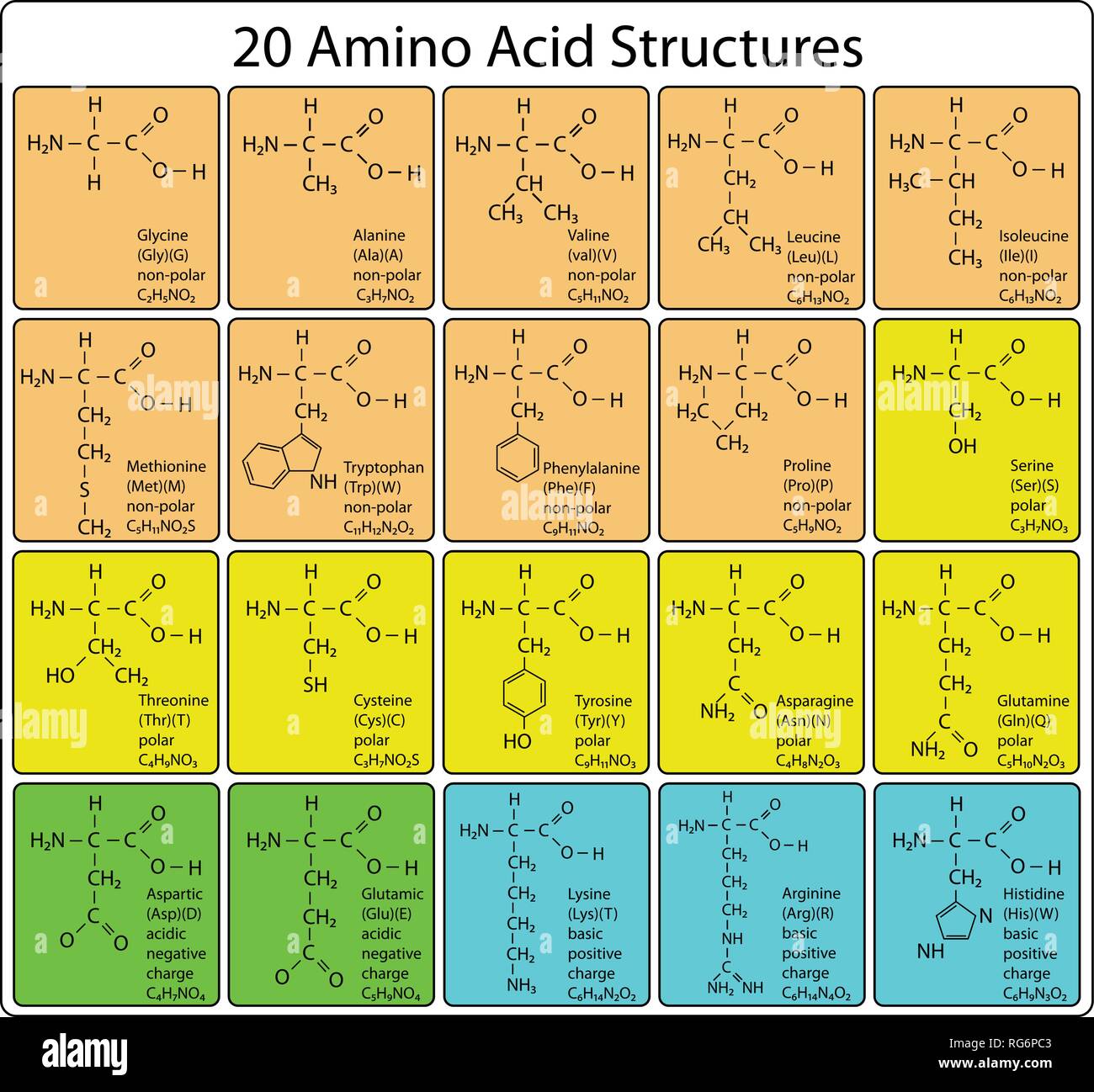 Amino Acid Sequence Alignment Of The Atypical C1 Domain Of Vav1 With