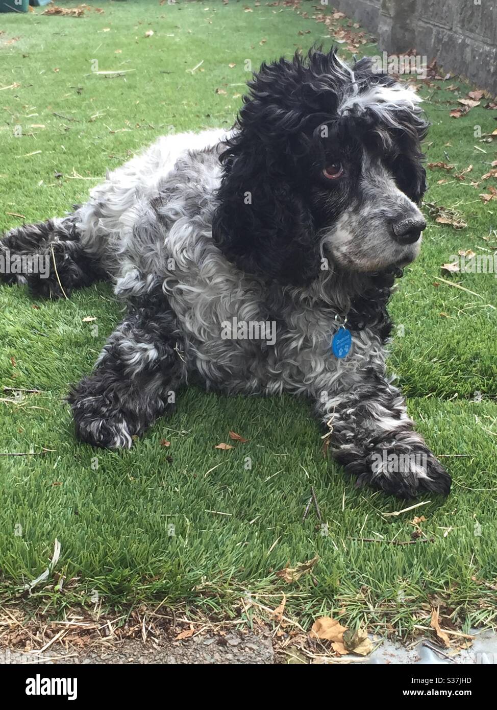 Fuzzy Logic Project Pdf Fuzzy Logic Function Mathematics