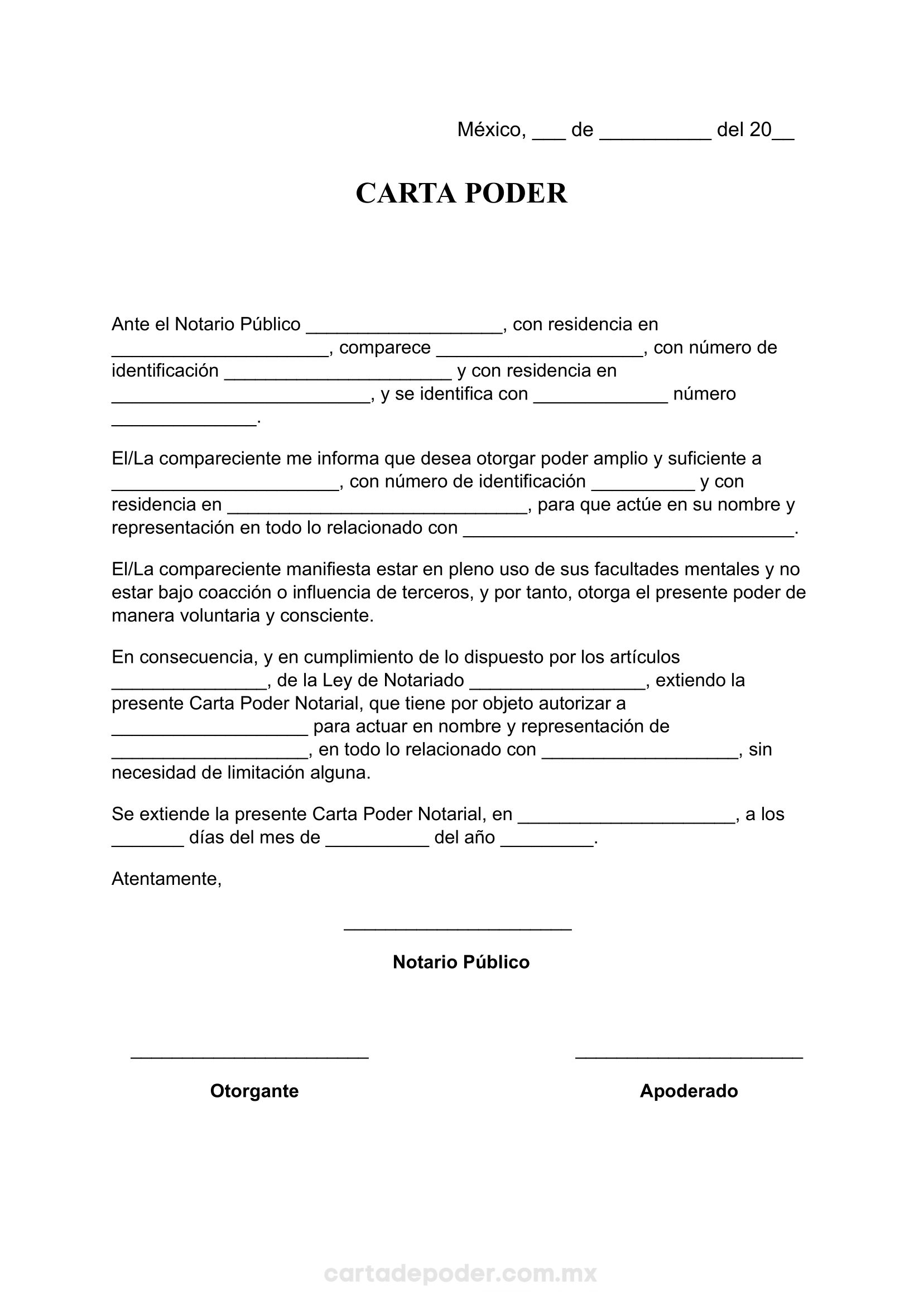 Carta Poder Formato Ejemplo