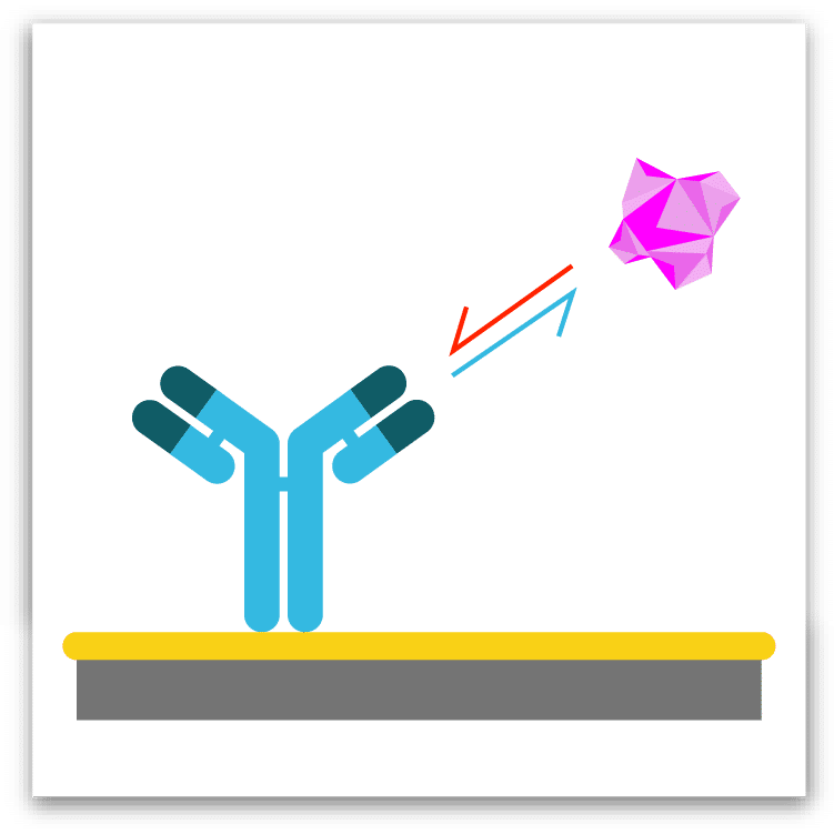 Immunofluorescence Microscopy Vs Confocal