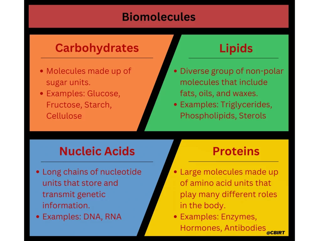 8 1 Biomolecules
