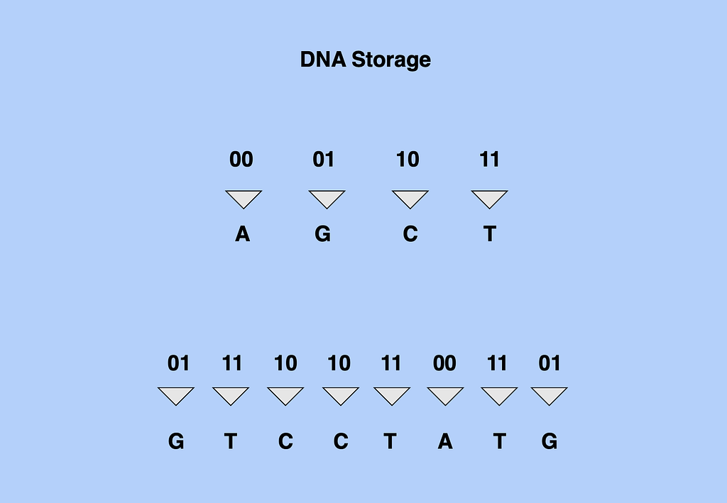 Supplementaryfigure1 Bits Of Dna