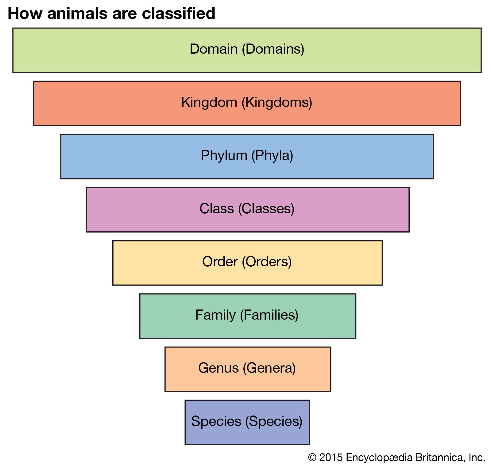 Taxonomic Classification Definition