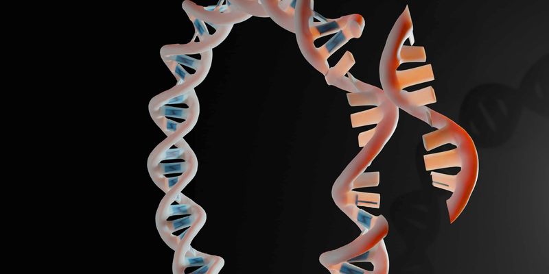 A Highly Effective And Self Transmissible Crispr Antimicrobial For