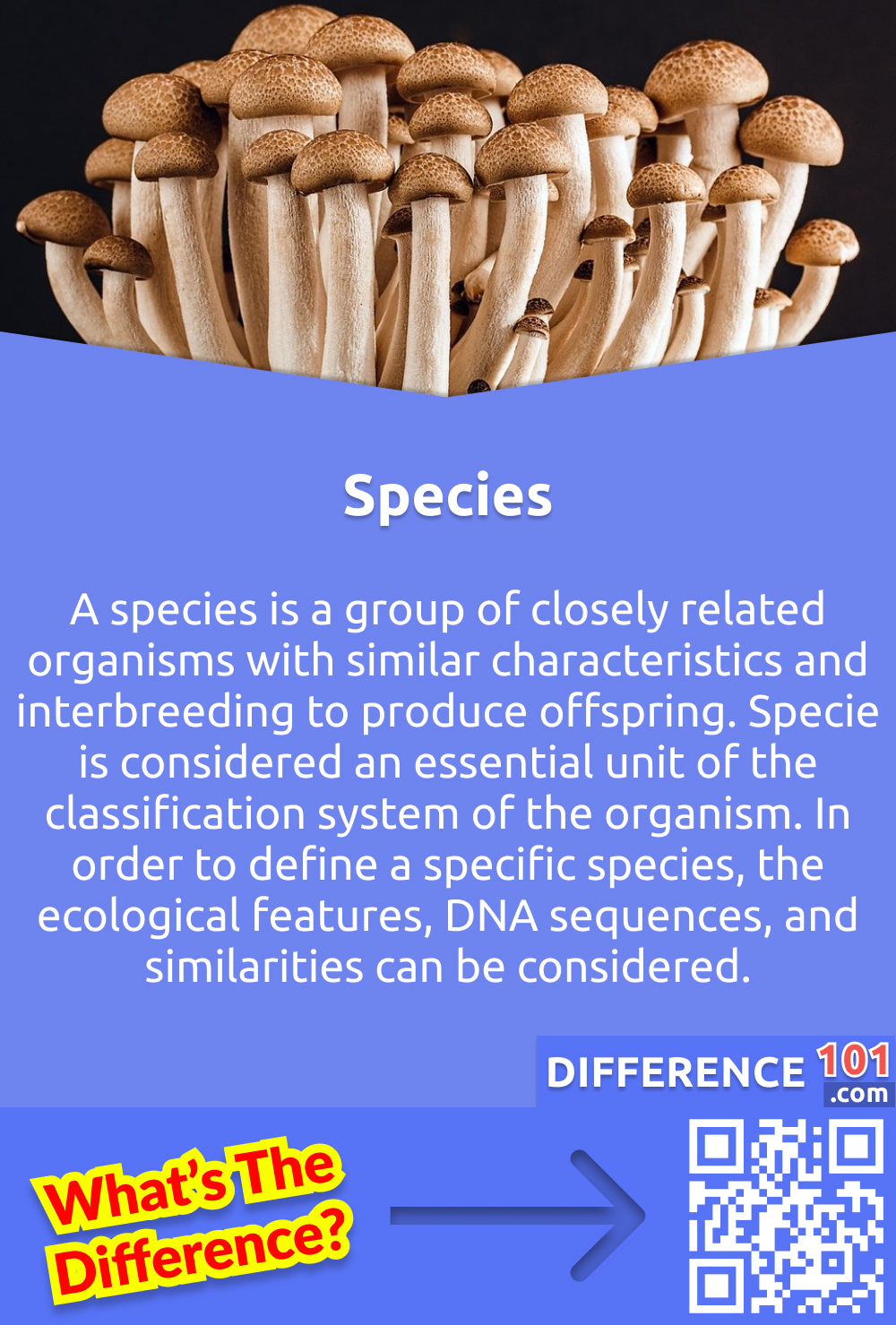 Species Definition Types Examples Britannica