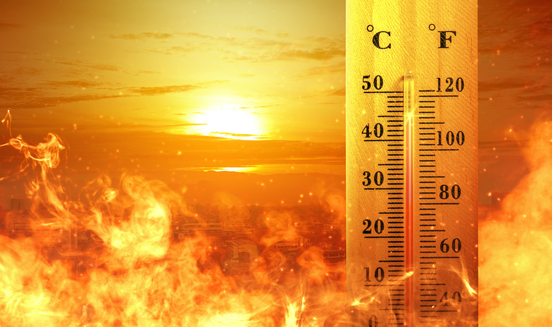 The Temperature Dependence Of A Thermal Expansion B Thermal
