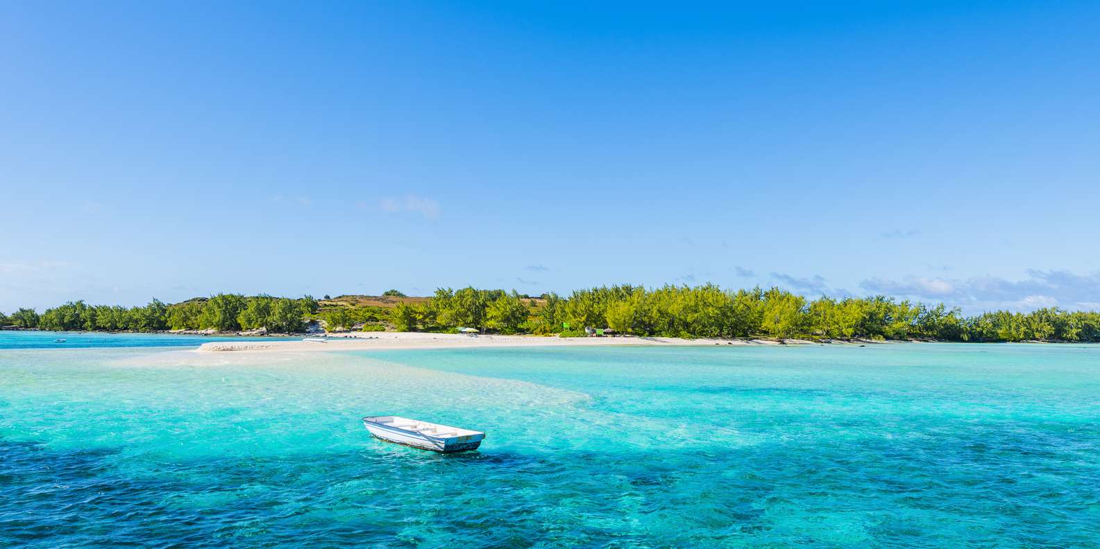 Wycieczki Calodniowe Z Wyspa Fraser Getyourguide