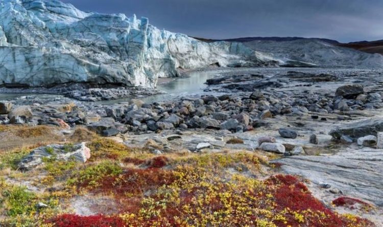 Realclimate Arctic And Antarctic