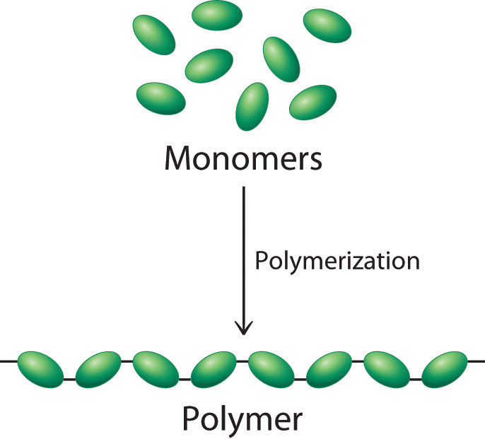 Polymers Free Full Text Plaphb Blends Biocompatibilizer Effects