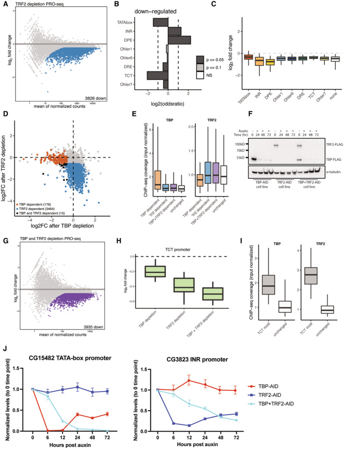 Promoter And Transcribed Chromatin States Show Distinct Functional And