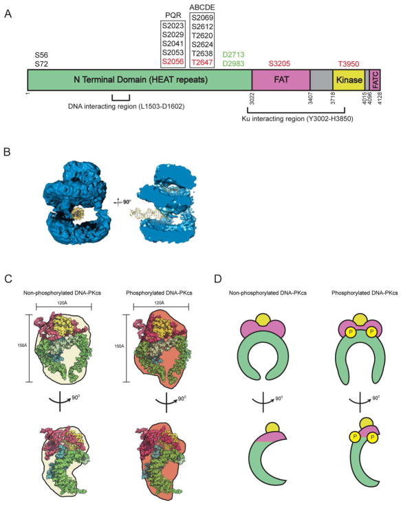 Kinase Nc Dna Day Blog