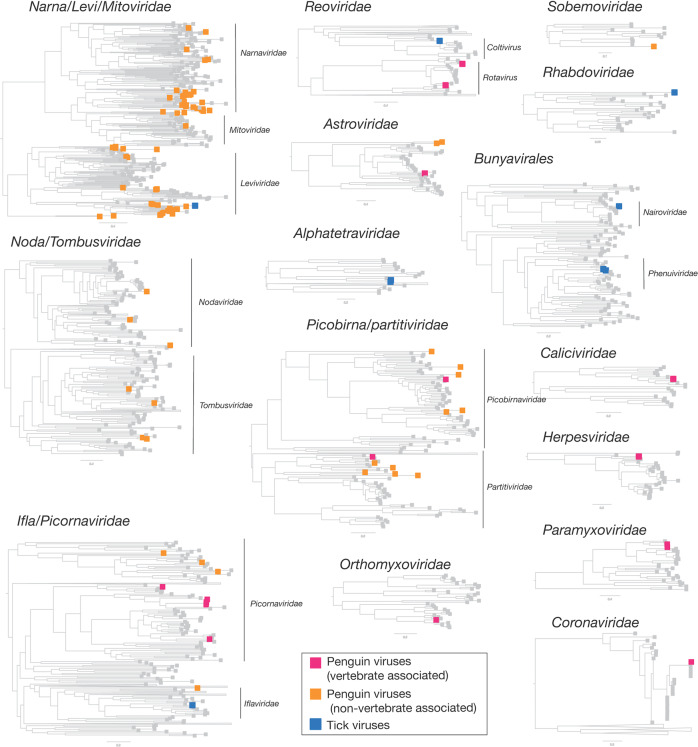 Sustained Rna Virome Diversity In Antarctic Penguins And Their Ticks Pmc