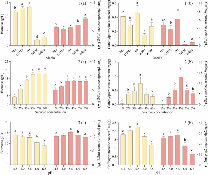 In Vitro Investigations On The Polyphenolic Potential Of Medicinal