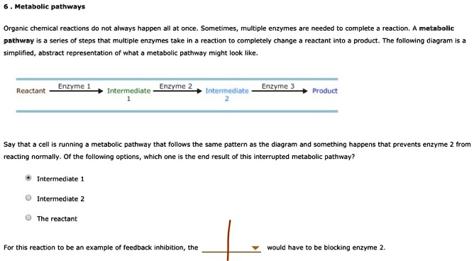 Solved Text Enzymatic Pathways Organic Chemical Reactions Are Not