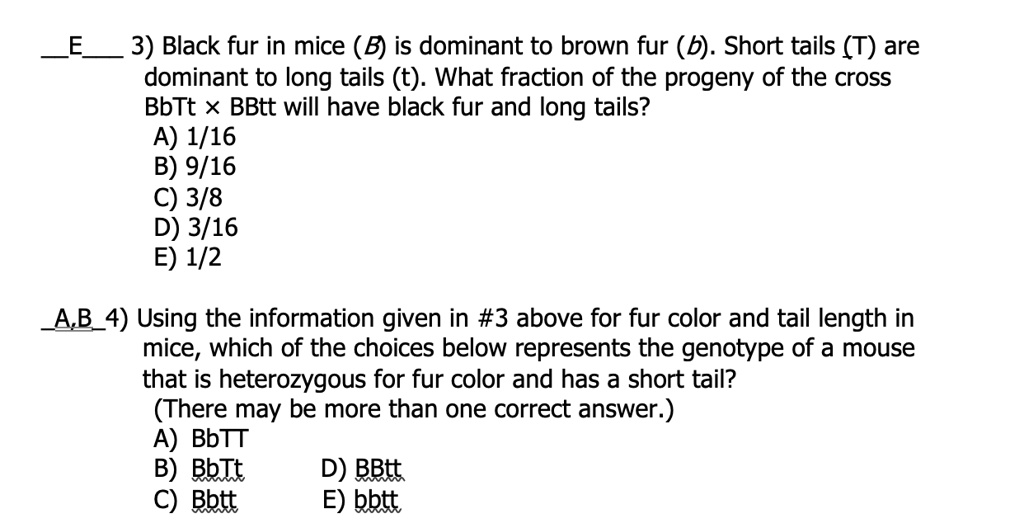 Solved In Rabbits Black Fur Is Dominant Over White Fur Show The Cross Of A Heterozygous Black