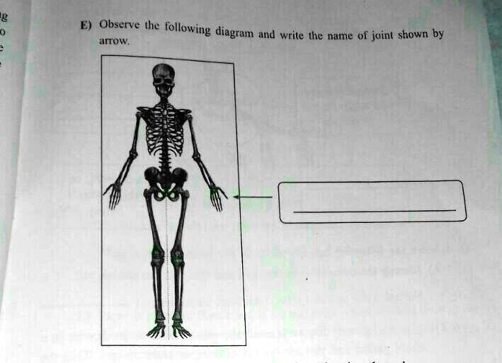 Solved Observe The Diagram And Answer The Question
