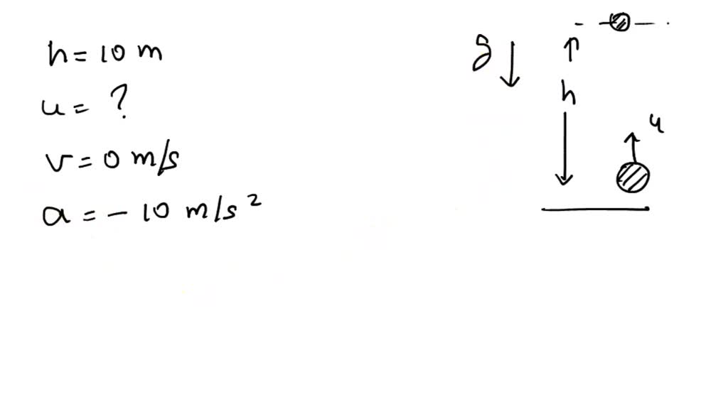 Solved A Body Is Thrown Vertically Upwards With An Initial Velocity Of