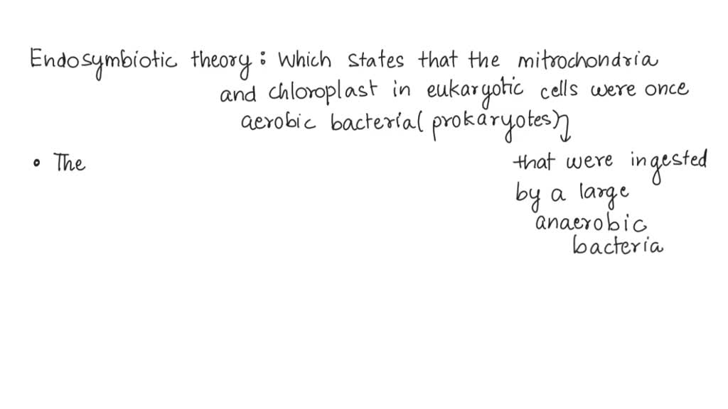 Endosymbiotic Theory Origin Of The Eukaryotic Cell Biology Notes Online