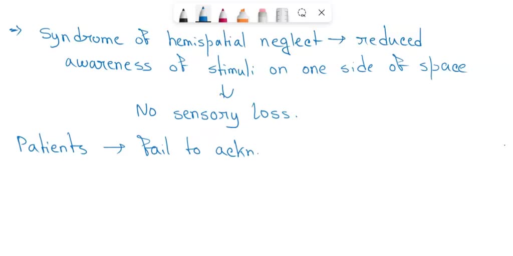 14 Ventral And Dorsal Pathways From The Striate To The Extrastriate