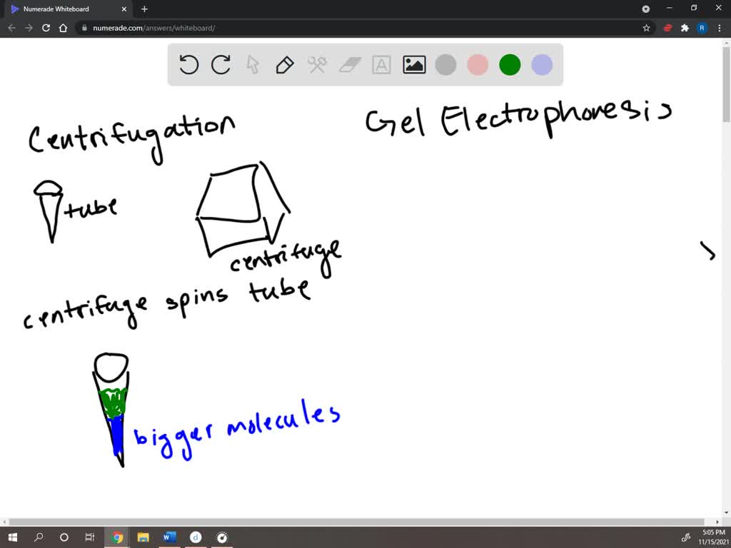 Two Dimensional Gel Electrophoresis Map Of Extracted Proteins From