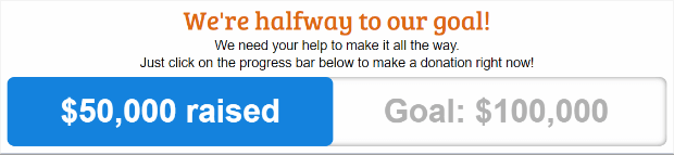 Fundraising Progress Bar Generator