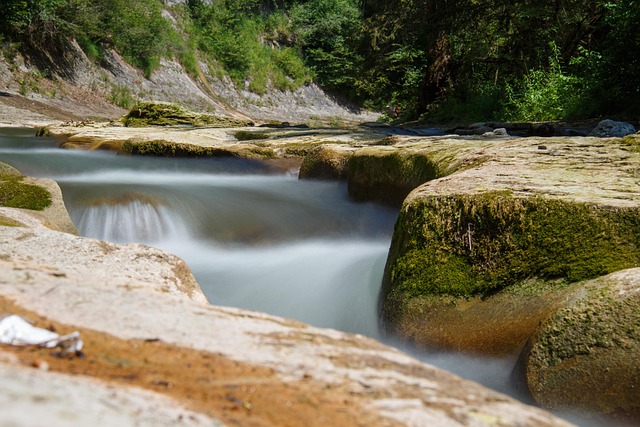 Fluss Wasser Die Kostenloses Foto Auf Pixabay Pixabay