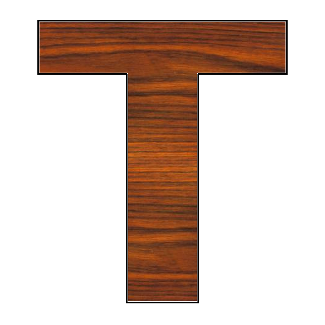 T Type Amino Acid Transporter Tat1 Slc16a10 Is Essential For