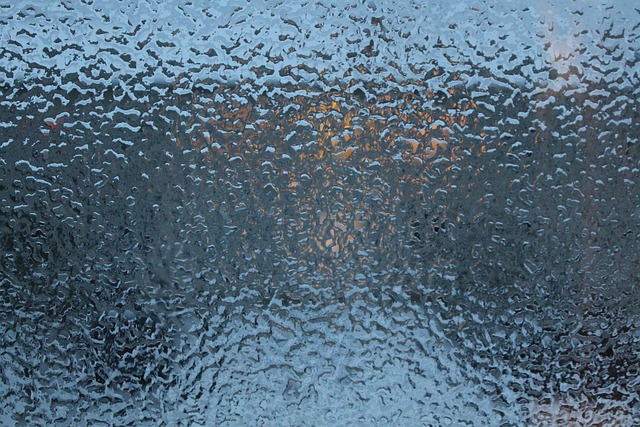 Ventana Vidrio Imagen De Foto Gratis En Pixabay Pixabay