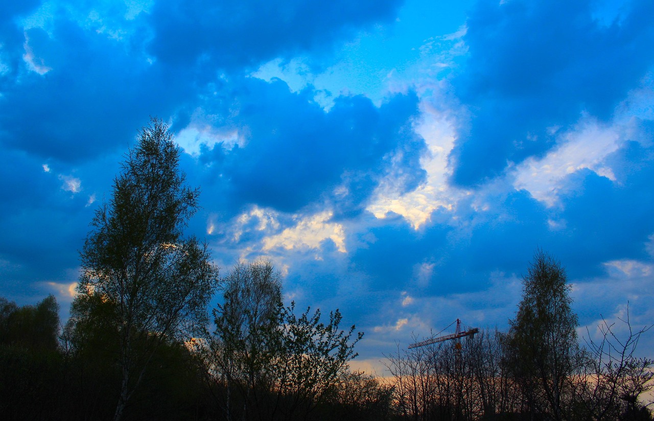 Plantas Arvores Natureza Foto Gratuita No Pixabay Pixabay