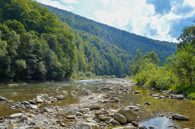 Fluss Wald Wasser Kostenloses Foto Auf Pixabay Pixabay