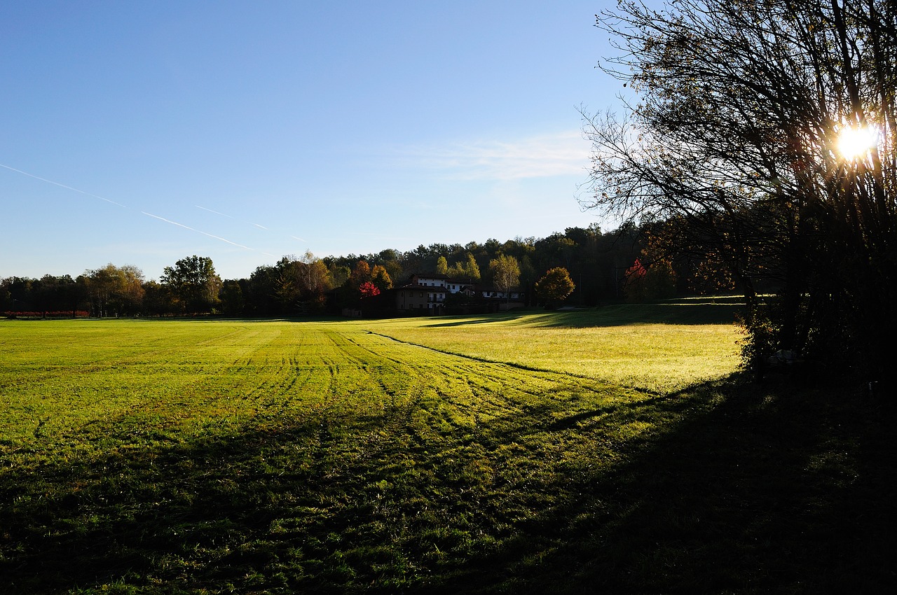 Zonsondergang Bomen Landschap Gratis Foto Op Pixabay Pixabay