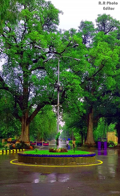 Stromen Tollense Natuur Gratis Foto Op Pixabay Pixabay