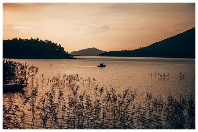 Bote Tierra Foto Gratis En Pixabay Pixabay