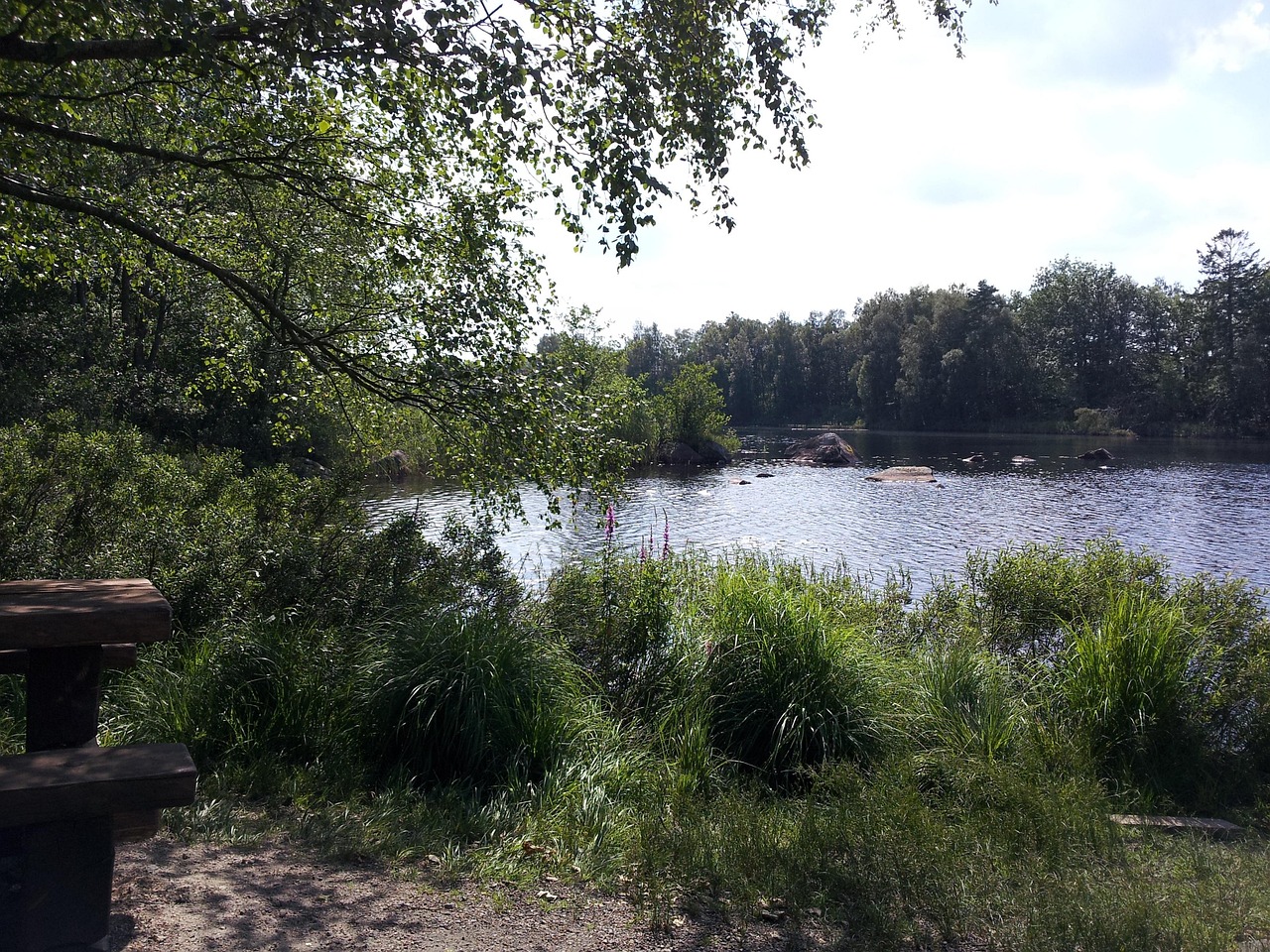 Schwimmbad Natur Kostenloses Foto Auf Pixabay Pixabay