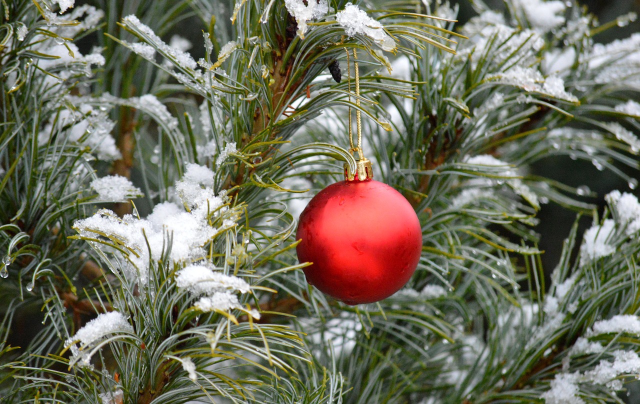 Iniciar Sesion Madera Cerrar Foto Gratis En Pixabay Pixabay