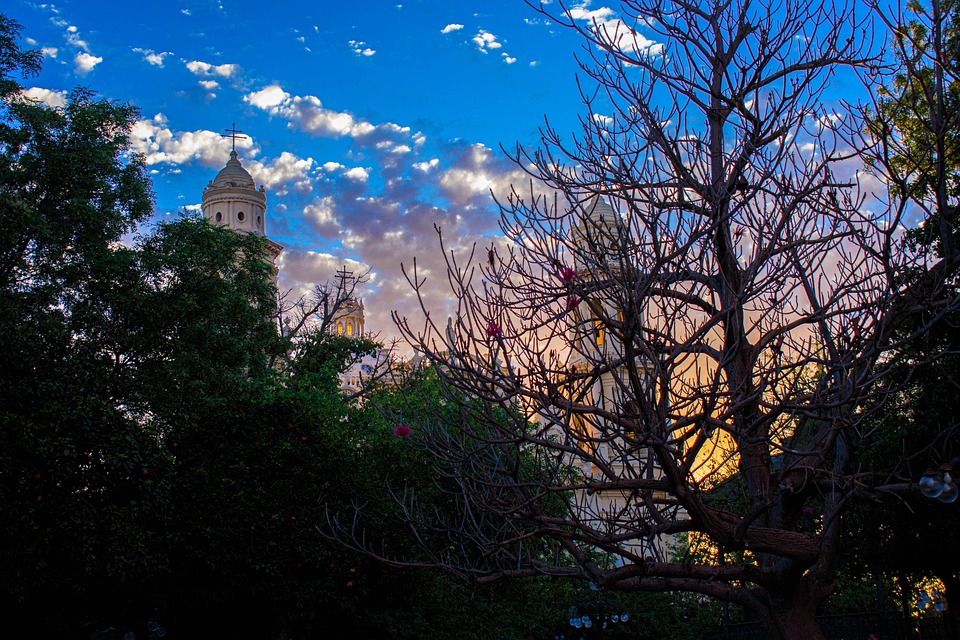 Stadt Oradea Center Die Kirche Kostenloses Foto Auf Pixabay Pixabay