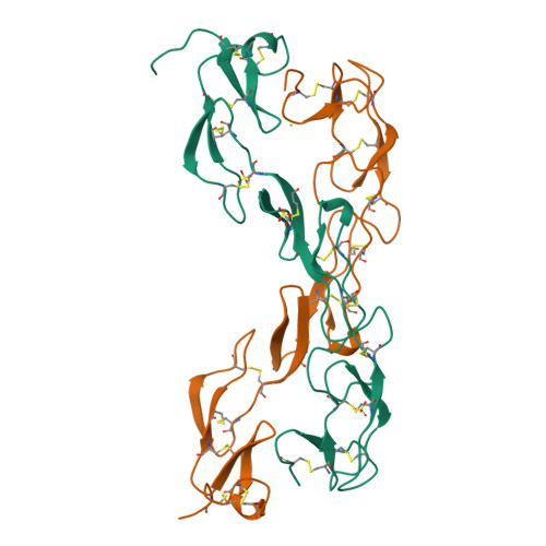 Rcsb Pdb 1exb Structure Of The Cytoplasmic Beta Subunit T1 Assembly